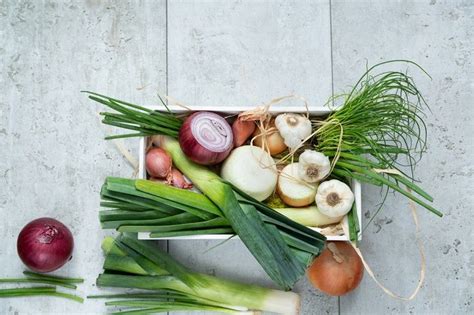 Vegetales del género Allium tóxicos para gatos