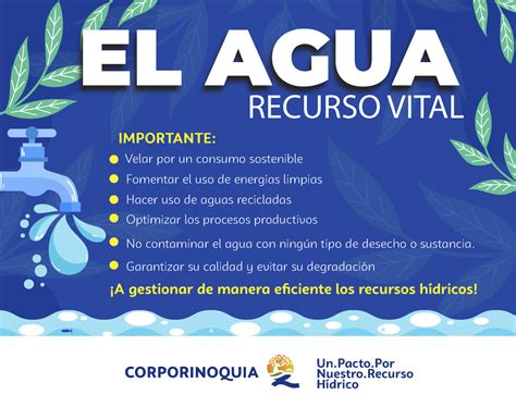 Variedad de platos donde el agua es un componente esencial