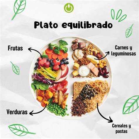 plato equilibrado con una variedad de vegetales verdes