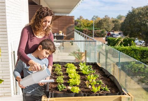 Huerto urbano con diversas legumbres en crecimiento