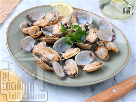 Variedades de almejas y chirlas