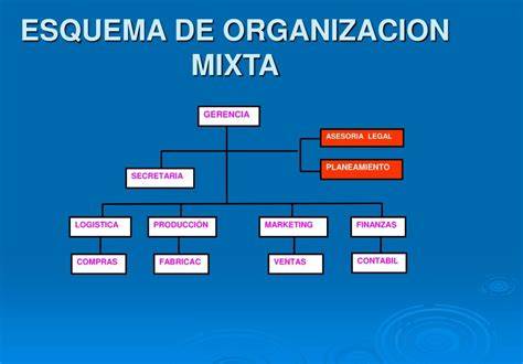 esquema de organización de estanterías de despensa