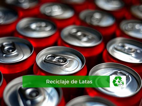 Variedad de latas selectas y tapas en una tasca de Bilbao