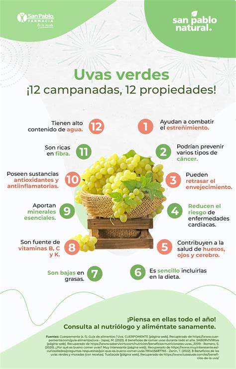 Infografía sobre los beneficios nutricionales de la pasta con vegetales