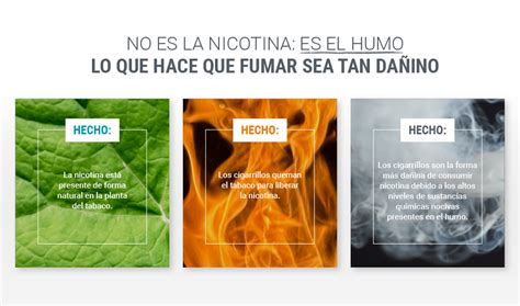Tabla comparativa del contenido de nicotina en berenjenas y cigarrillos
