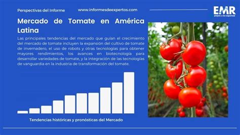 Gráfico sobre la evolución de la producción de tomate en Italia