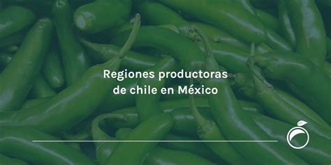 Mapa de las regiones productoras de jalapeño en México y el mundo