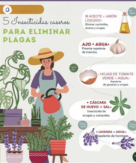 Productos insecticidas para el tratamiento de plagas en geranios