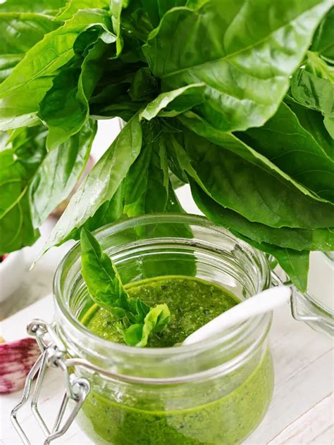 Albahaca fresca para la salsa
