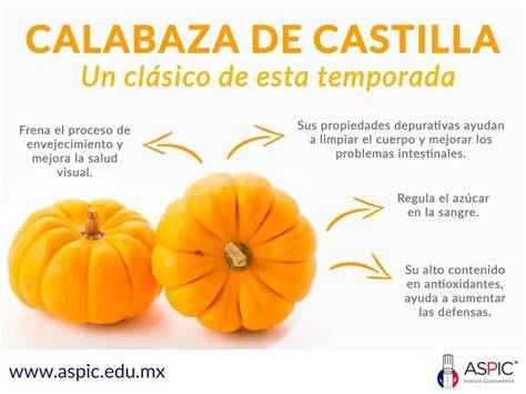Ilustración de una calabaza y sus usos culinarios