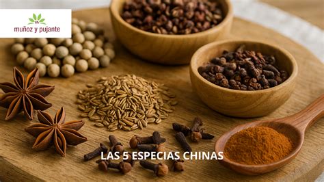 Variedad de especias chinas para cocina