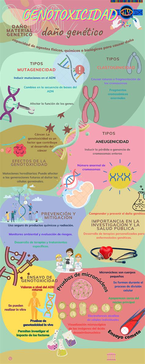 Infografía sobre genotoxicidad