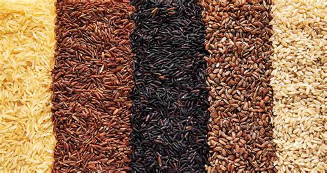Distintos tipos de arroz como blanco, integral y jazmín