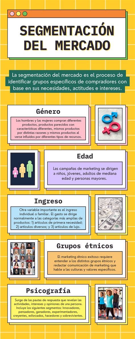 Infografía: Segmentación del mercado de materiales para arte por tipo de producto (Marcado vs. Básicos)