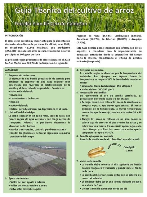 Gráfico de temperaturas óptimas para el cultivo de lentejas