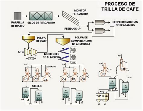 Proceso de secado y trillado de lentejas en el campo