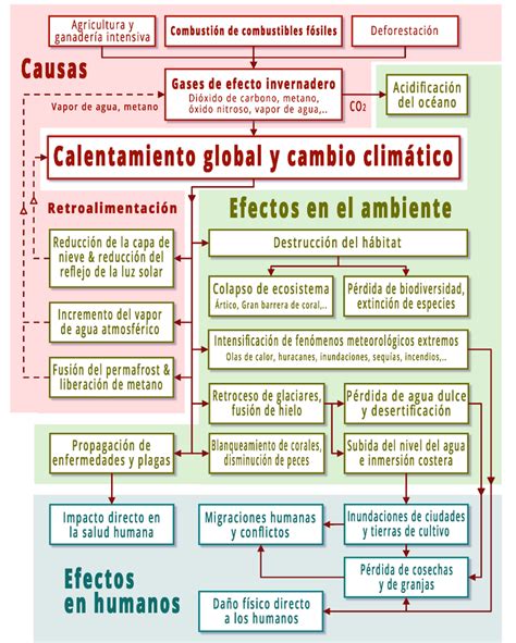 Infografía: Causas del declive del salmón