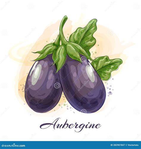 Ilustración de una planta de berenjena sana y una planta con manchas marrones