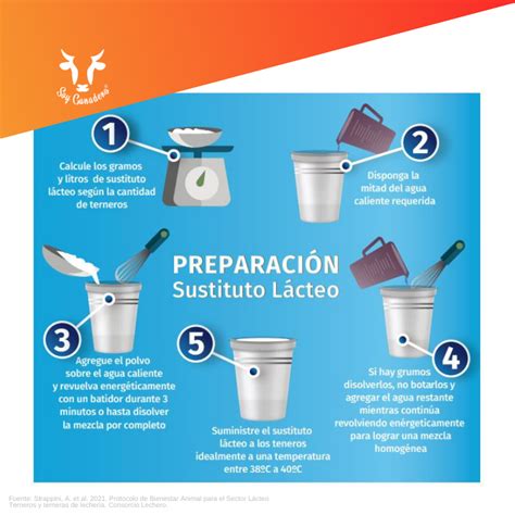 Preparación del sustituto lácteo