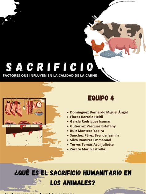 Diagrama del método Dhabīḥah para el sacrificio de animales