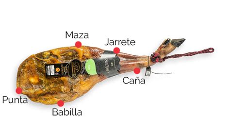 Esquema de las partes de la paletilla ibérica