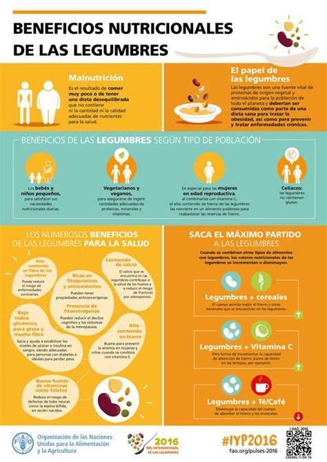 Infografía sobre las propiedades nutricionales de la merluza
