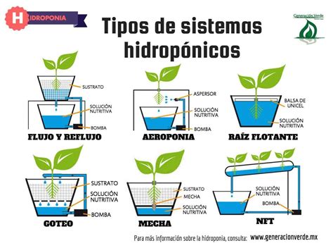 Esquema de diferentes sistemas hidropónicos