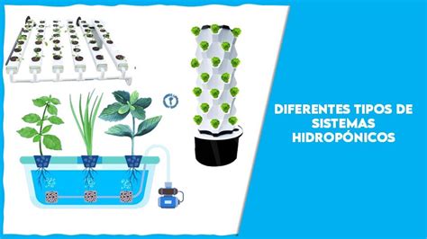 Ilustración de un sistema hidropónico de goteo para tomates