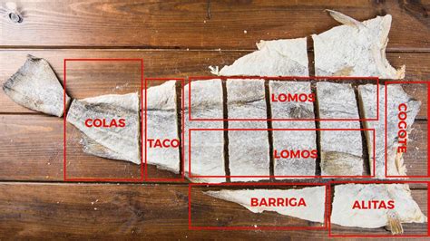 Ilustración de los diferentes cortes del bacalao