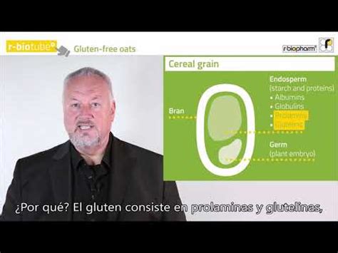 infografía sobre el proceso de eliminación de gluten en la cerveza