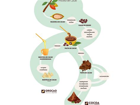Proceso de extracción de la manteca de cacao