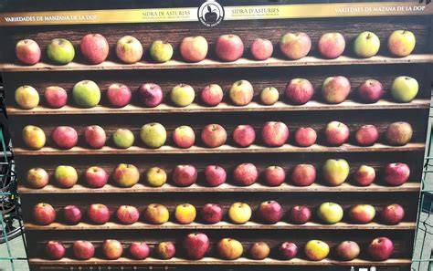 Manzanas de diferentes variedades para sidra