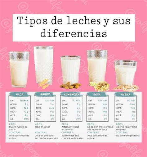 Ilustración de diferentes tipos de leches vegetales para baristas