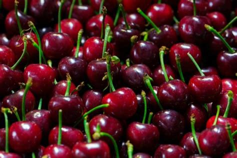 Cerezas siendo preparadas en una Thermomix