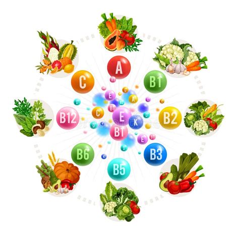 Ilustración de los nutrientes y vitaminas presentes en la col