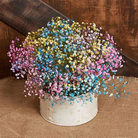 Centro de mesa con paniculata de colores pastel