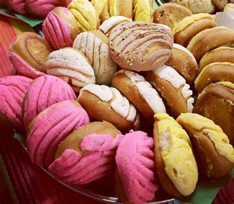 Variedad de conchas mexicanas de diferentes colores