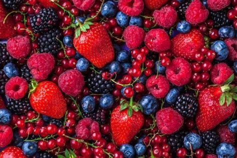 Variedad de frutos rojos frescos