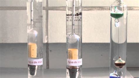 Medición de la densidad inicial del mosto con un hidrómetro