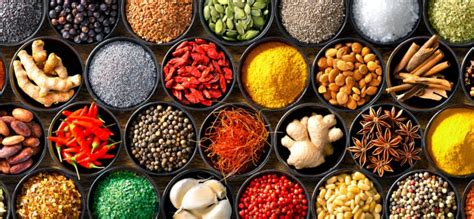 Ilustración de varios condimentos y especias