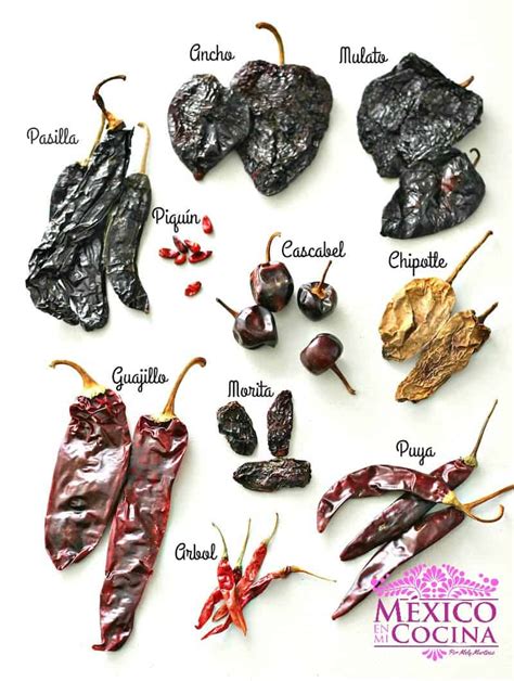 Chiles de árbol secos
