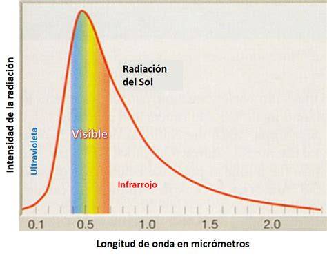 Diagrama de la composición de la silicona y posibles migraciones