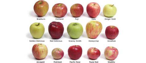 Variedad de manzanas