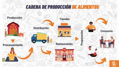 Infografía sobre la cadena de suministro de alimentos