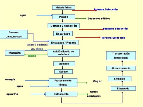 Diagrama del proceso de escaldado y congelación de rábanos