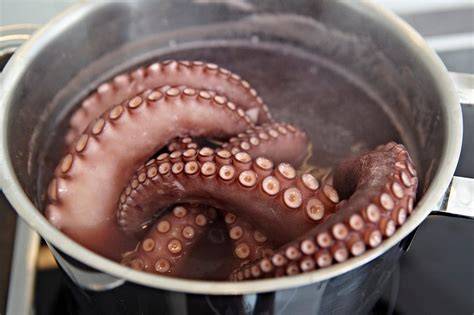 Pulpo cociéndose en una olla