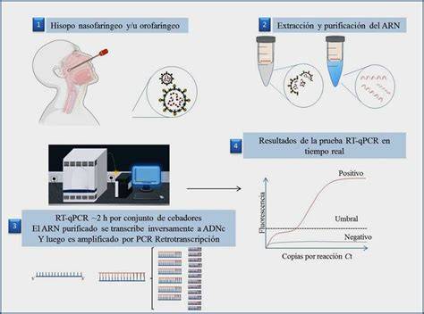 Estudio de microbioma por PCR