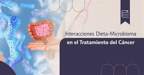 Efecto de diferentes tipos de dieta en el microbioma intestinal