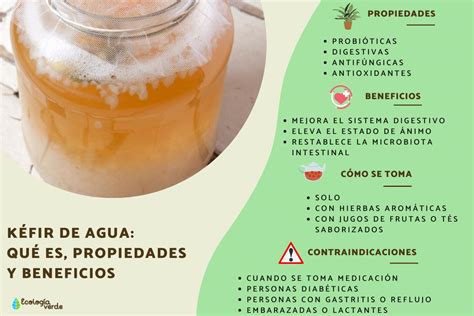 Infografía sobre los beneficios del kéfir