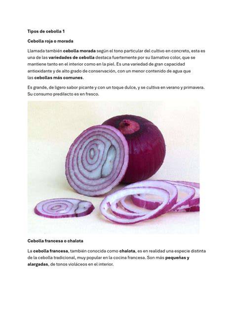 Variedades de cebolla y sus usos